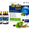 BRAIN BUSHI