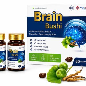 BRAIN BUSHI